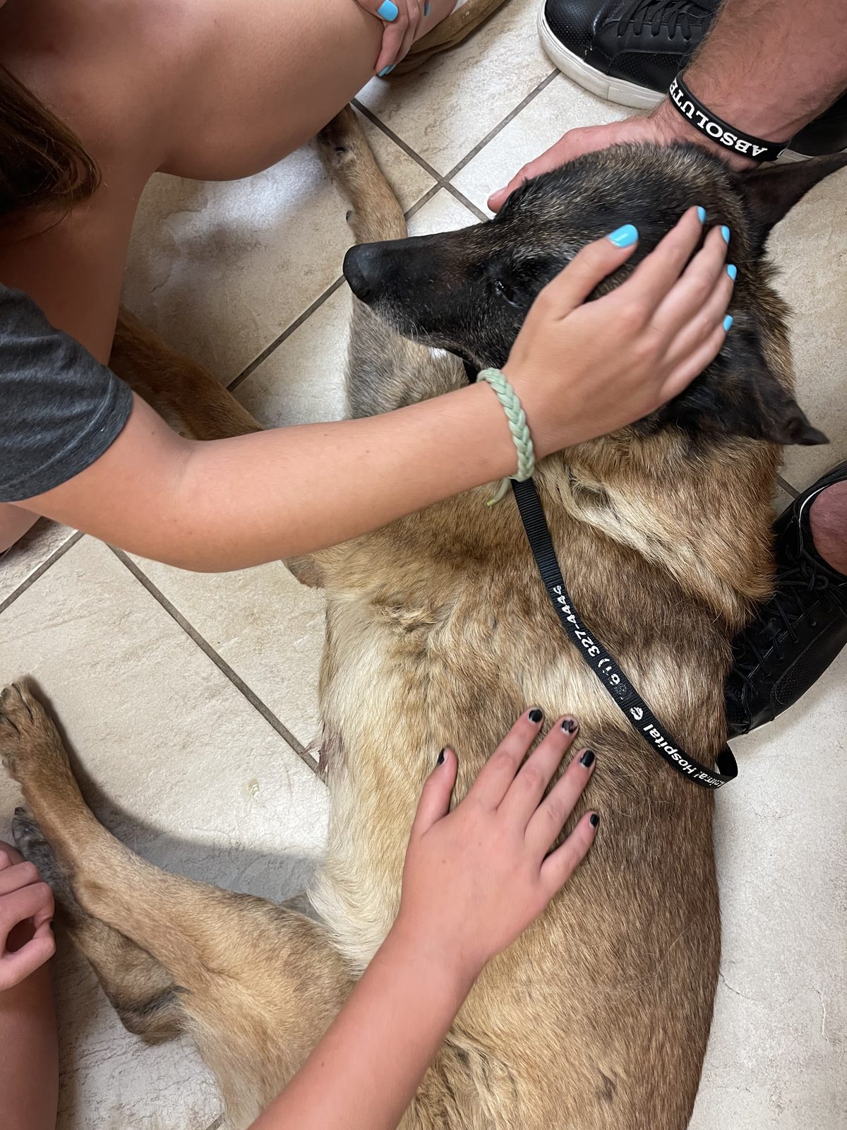 Family members gently comforting a beloved dog during a farewell moment